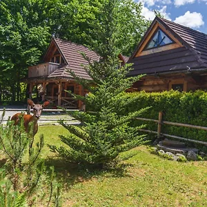Mountain Shelter Chalet